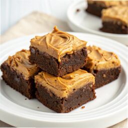 Peanut Butter Brownies Recipe