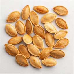 Roasted Pumpkin Seeds Recipe