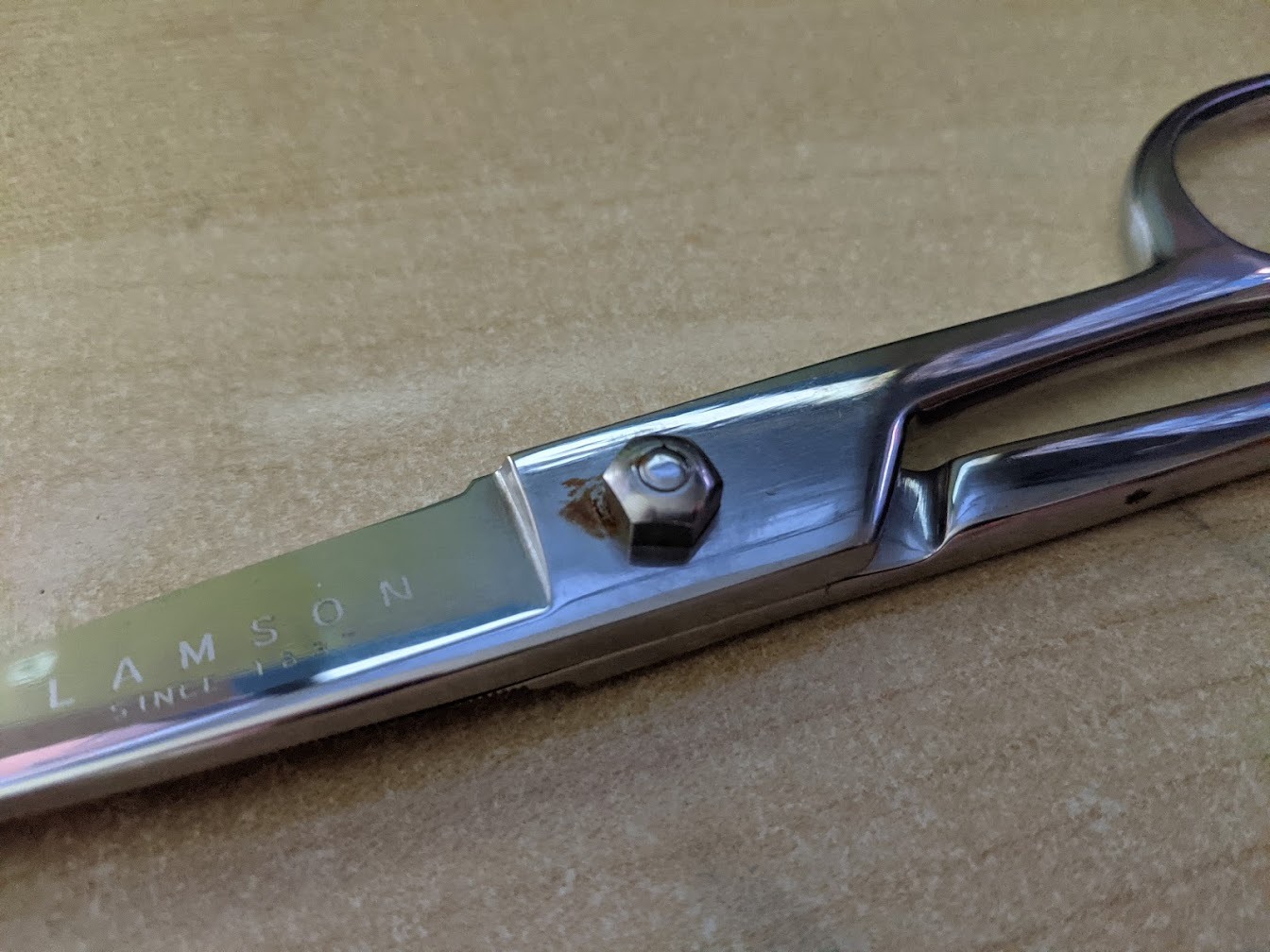 Lamson Kitchen Shears, 8 In Forged Take Apart Poultry Scissors | High-carbon steel cuts chicken bones, herb stems, twine and pizza; blades separate at the pivot; all stainless build customer photo 2