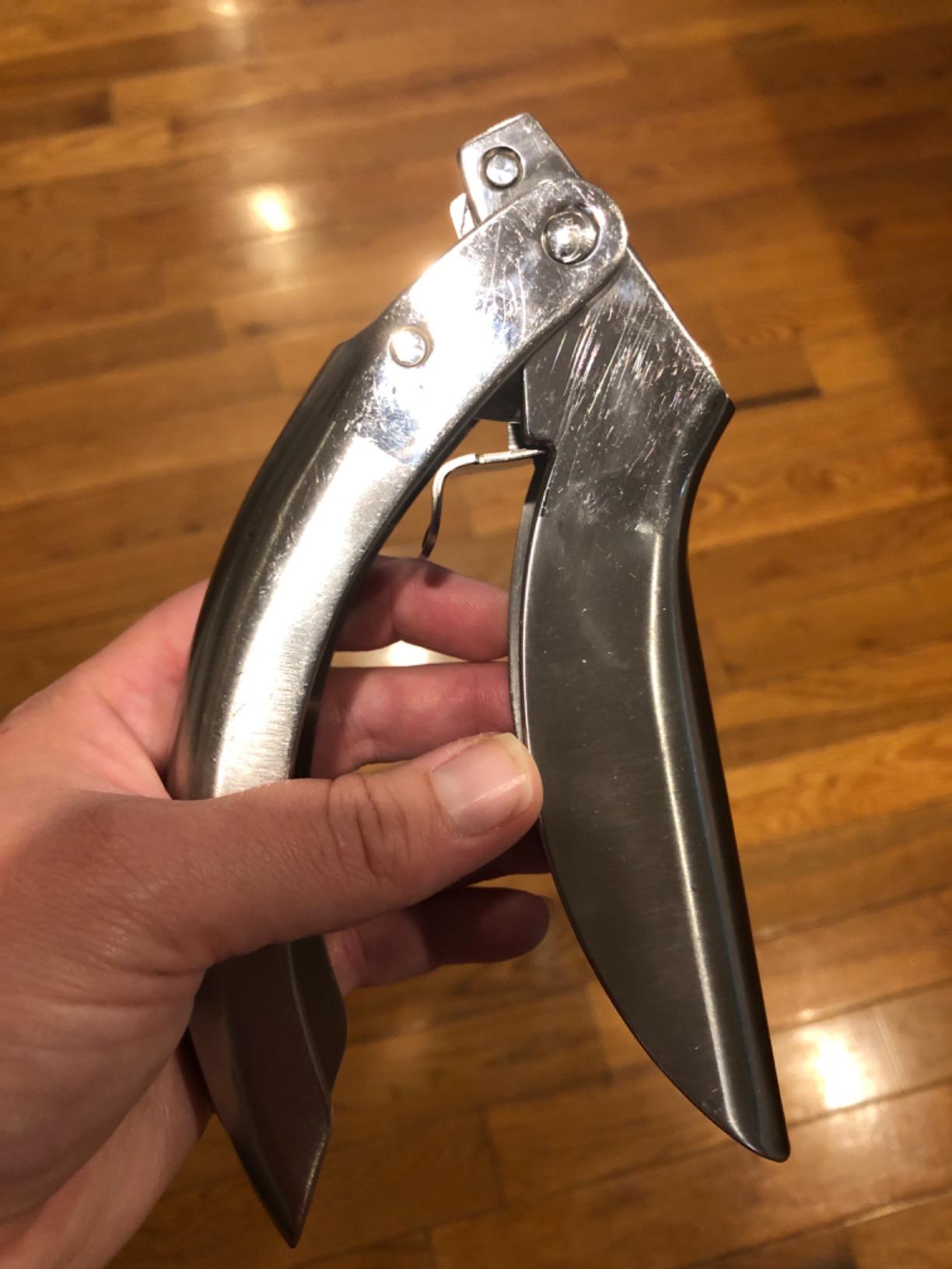 Kuhn Rikon Epicurean Garlic Press, Stainless Steel, 6.5 x 1 x 1.5 inches, Silver customer photo 2
