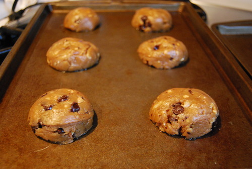 OXO Good Grips Medium Cookie Scoop customer photo 1