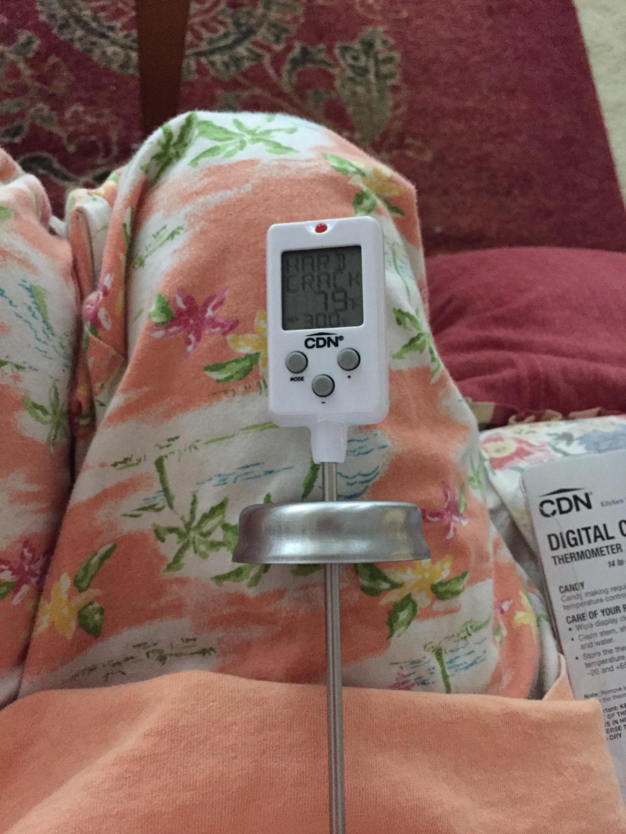 CDN Digital Thermometer Long 8'' Stainless Steel Stem, Adjustable Pot Clip, Preset Candy Stages with Audio/Visual Alerts, Instant Read For Cooking, Deep Frying & Oil - DTC450 customer photo 2