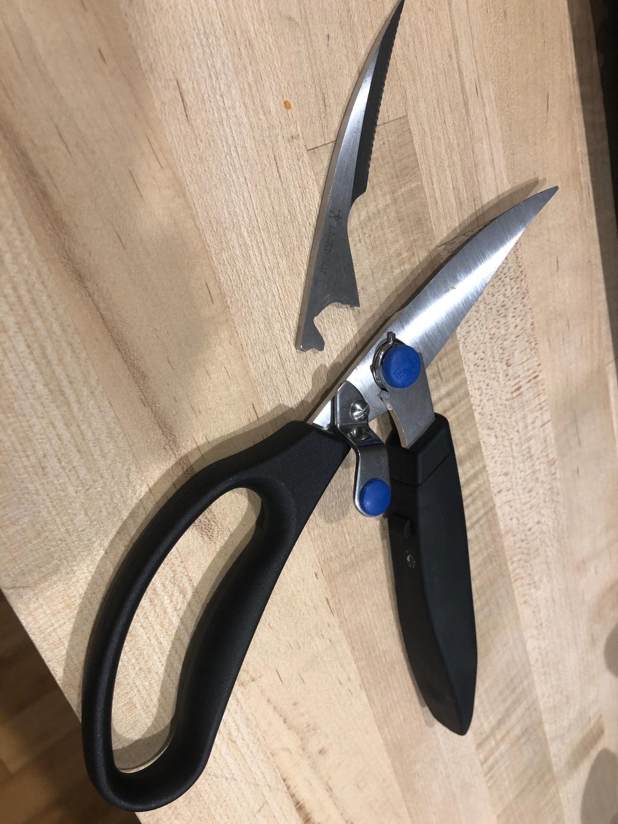 HENCKELS Kitchen Shears for Poultry, Dishwasher Safe, Heavy Duty, Stainless Steel 4-Inch customer photo 1