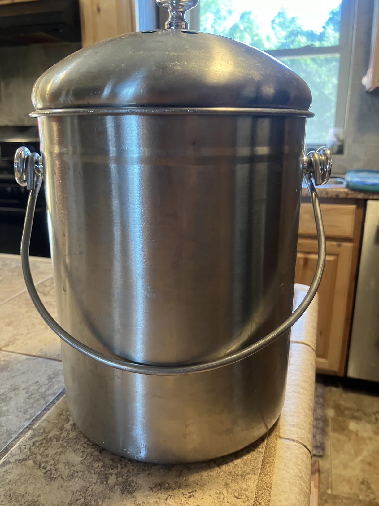 Epica Kitchen Compost Bin for Kitchen Countertops, 1.3 Galllon - Silver customer photo 1