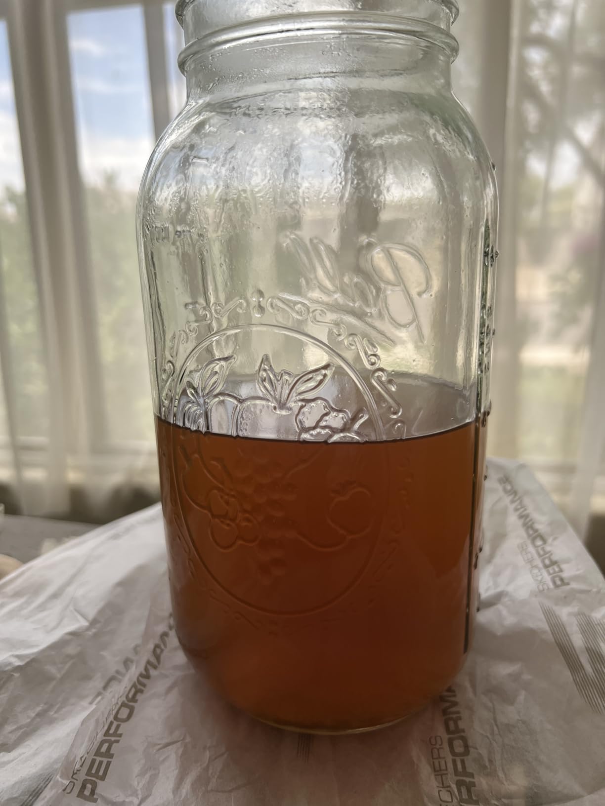 Wide Mouth Glass Mason Jars with Lids and Bands, Used for Canning, Pickling, Juice, Jam, Jelly, Pint Size 16 Ounce (Pack of 3) customer photo 1