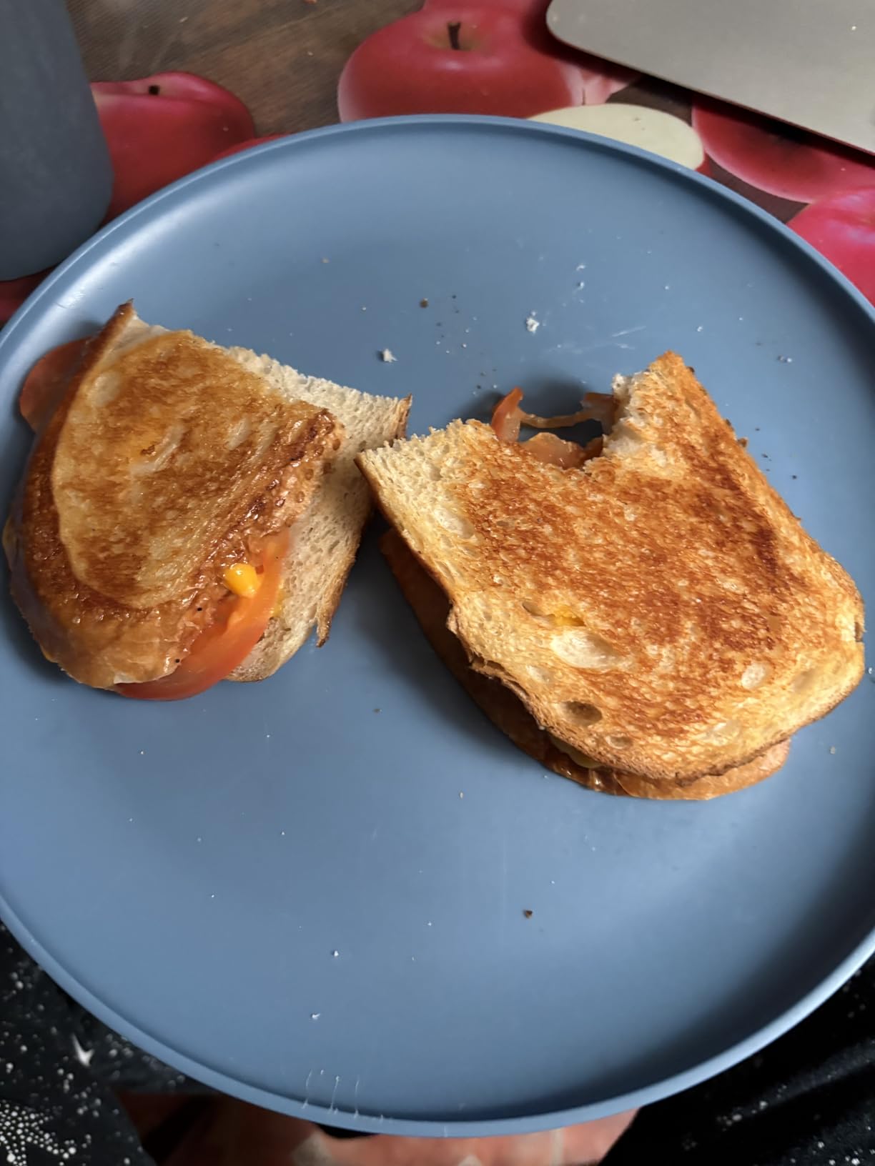 Proctor Silex Deluxe Hot Sandwich Maker With PFAS-Free Non-Stick Plates | Fits 2 Grilled Cheese, Reubens, Tortas Or Subs | Easy-Clean Durable Ceramic Surface | Stainless Steel | 25415MN customer photo 2