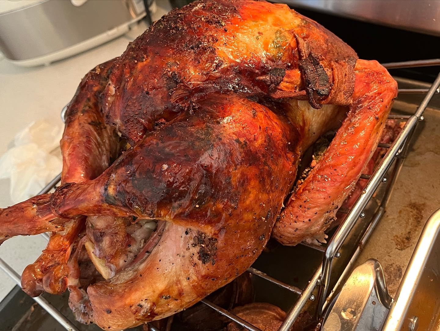 E-far Roasting Pan, 16 x 11.5 Inch Stainless Steel Turkey Roaster with V-shaped & Flat Rack, Non-toxic & Heavy Duty Deep Broiling Pan, Dishwasher Safe - Large customer photo 2