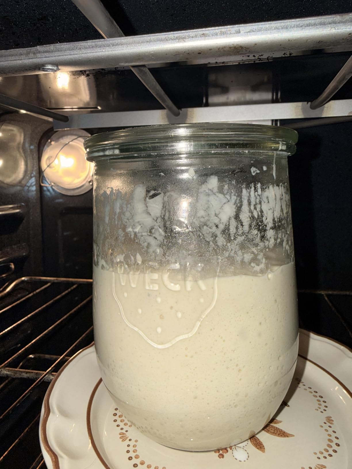 Tulip Jars 1 Liter - Large Sour Dough Starter Jars with Wide Mouth - Suitable for Canning and Storage - 2 with Glass Lids customer photo 1