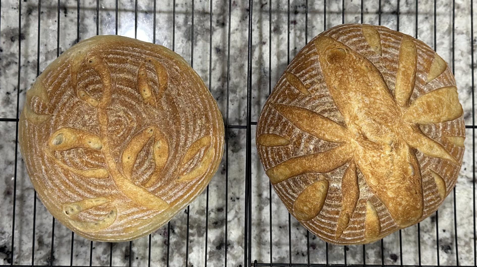 Banneton Bread Proofing Basket Set of 2: 9 Inch Round Sourdough Proofing Bowls for Artisan Bread Making for Professionals and Home Bakers customer photo 2
