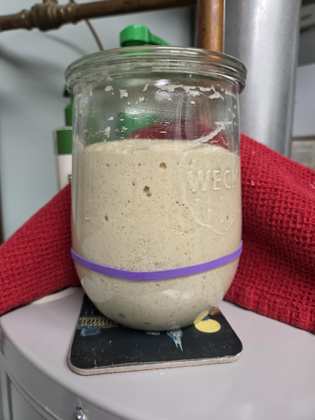 Tulip Jar - Sour Dough Starter Jars for Sourdough - 1 x WECK 745 Large Clear Jar with Wide Mouth - 1 Liter Includes Glass Lid, rubber seal and steel clips customer photo 1
