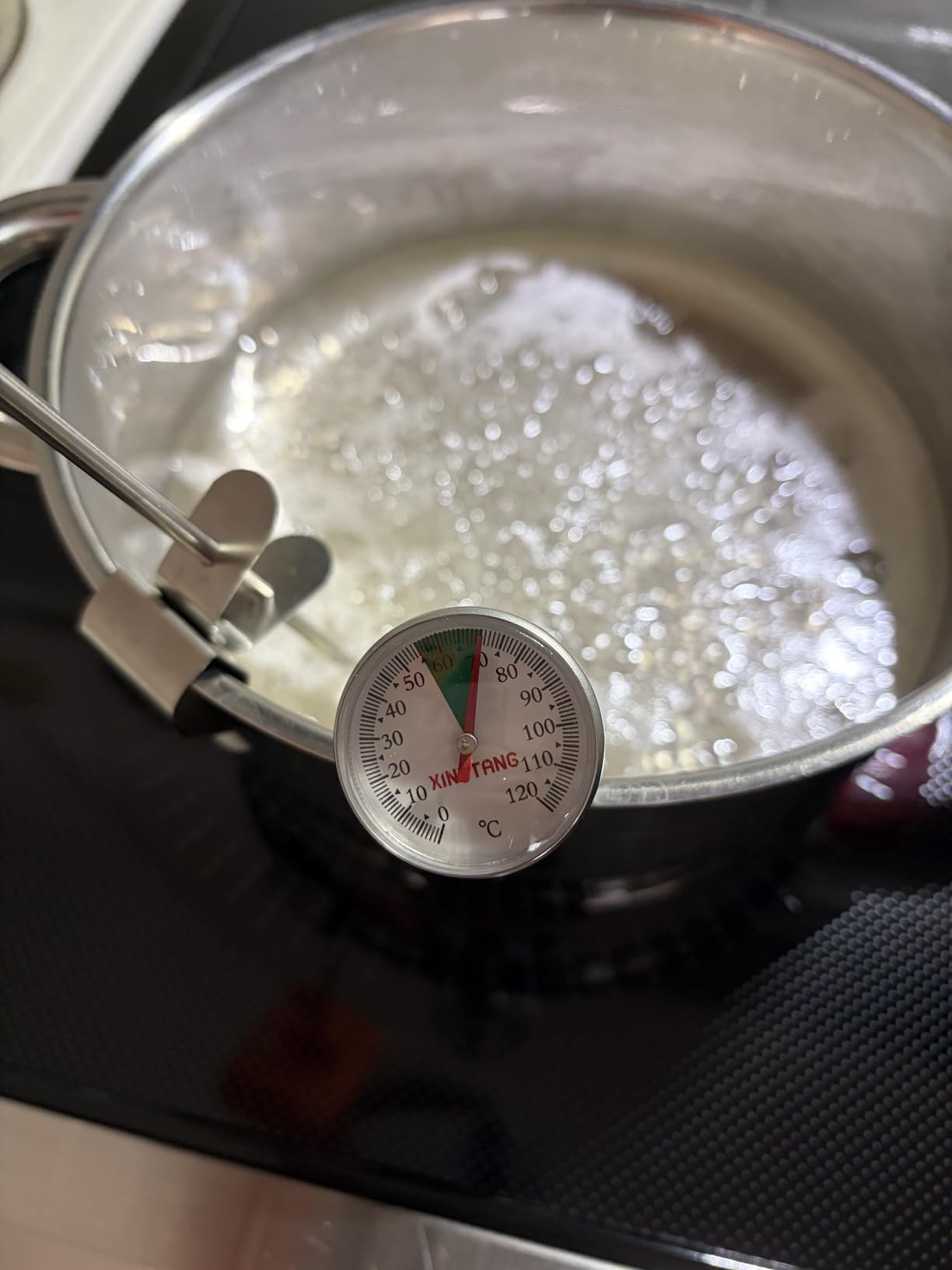 TempPro TempDip 1 Sec Digital Candy Thermometer with Pot Clip & 10