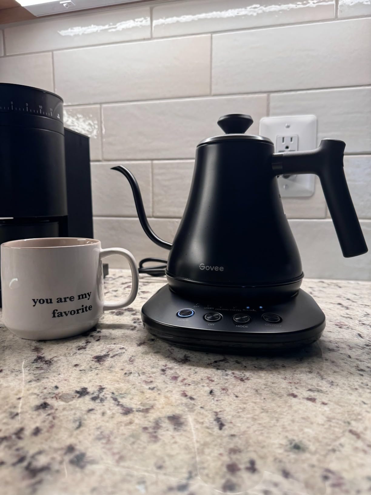 Govee Smart Electric Kettle, WiFi Variable Temperature Gooseneck Tea Kettle | Pour Over Kettle and Electric Tea Kettle, Alexa Control, 1200W Quick Heating, All Stainless Steel, 0.8L Matte Black customer photo 1