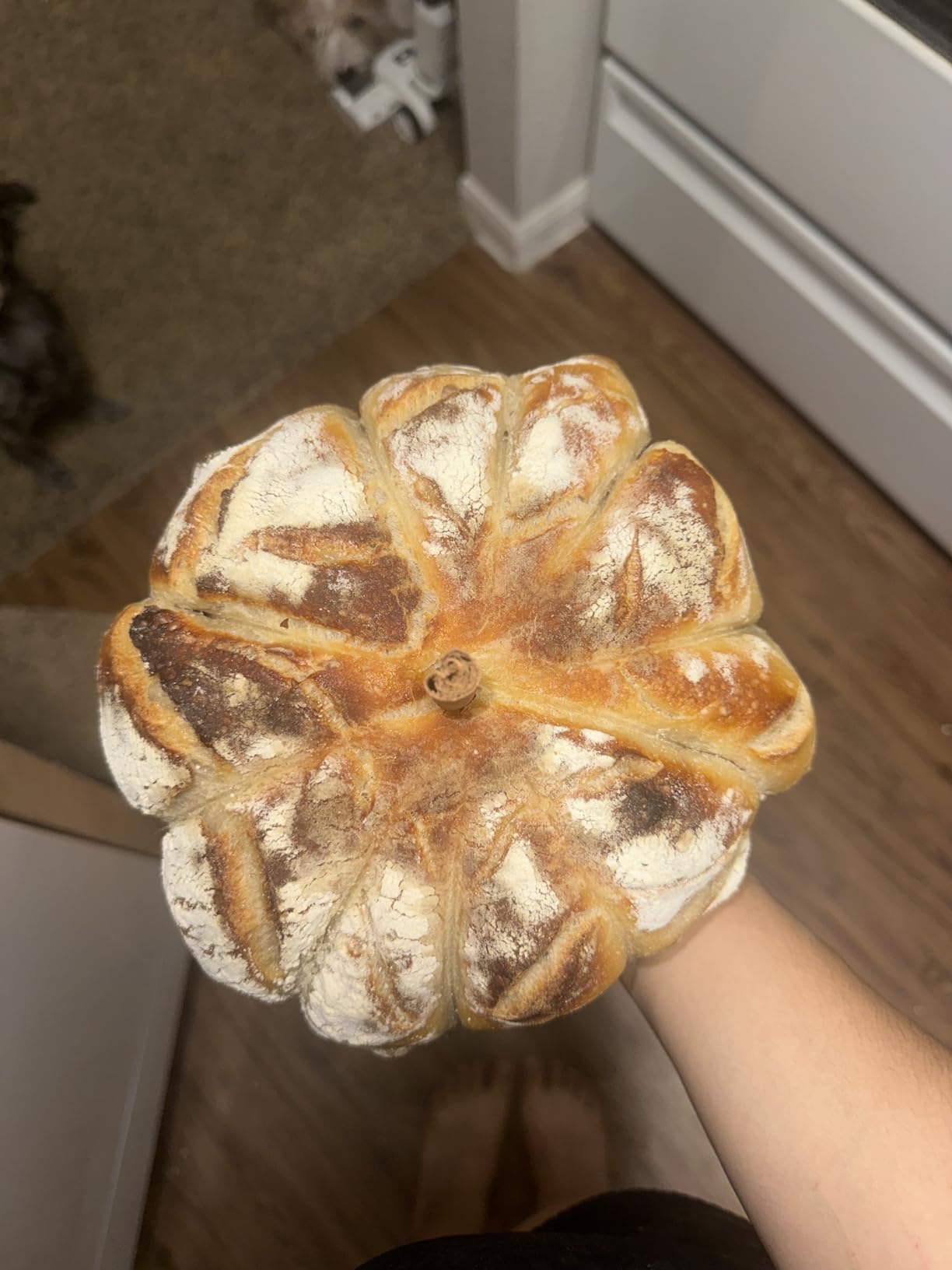 Saint Germain Bakery Premium Round Bread Banneton Basket with Liner - Perfect Brotform Proofing Basket for Making Beautiful Bread (9 inch) customer photo 2