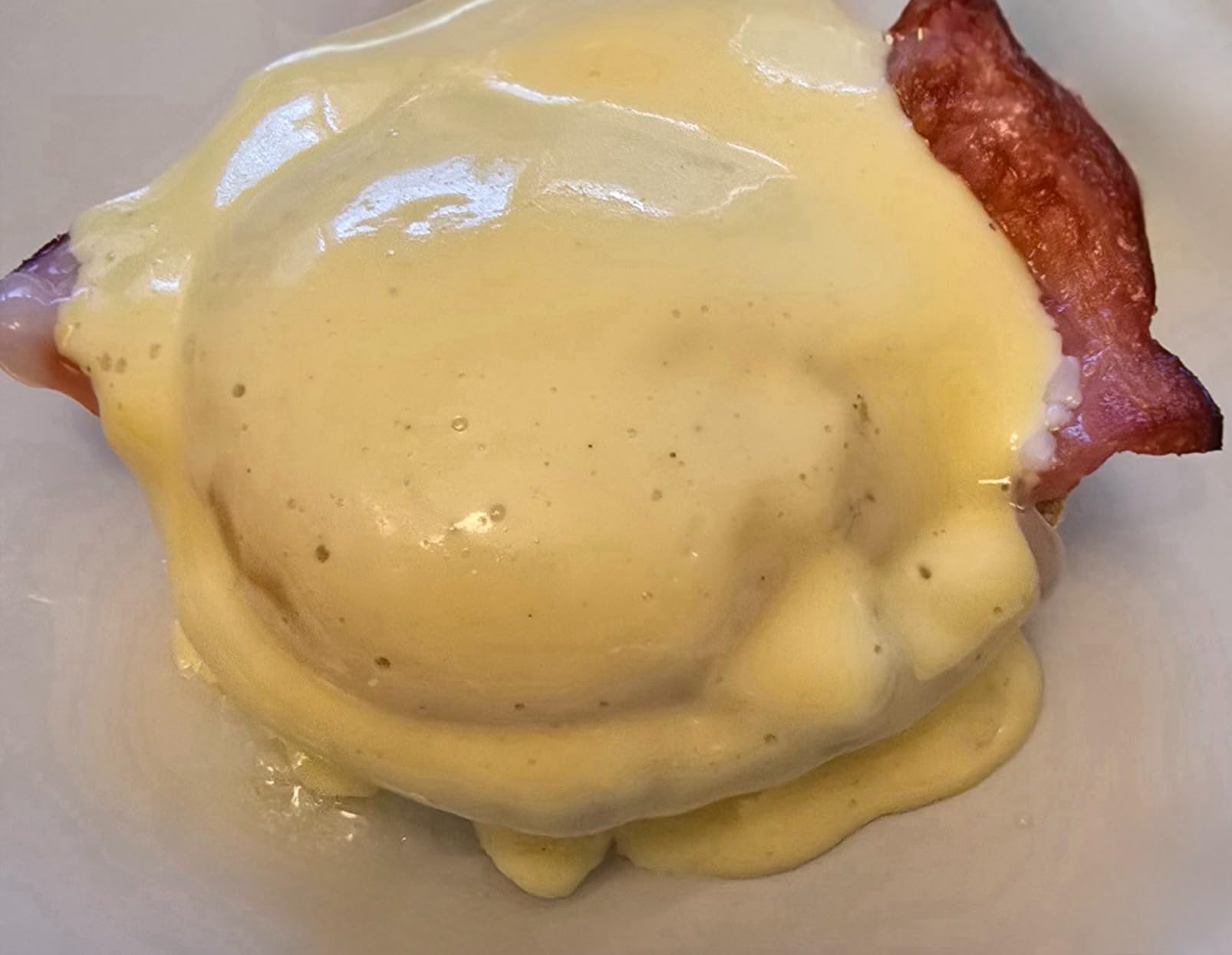 Breville BSV600PSS Joule Turbo Sous Vide Machine, Polished Stainless Steel customer photo 1
