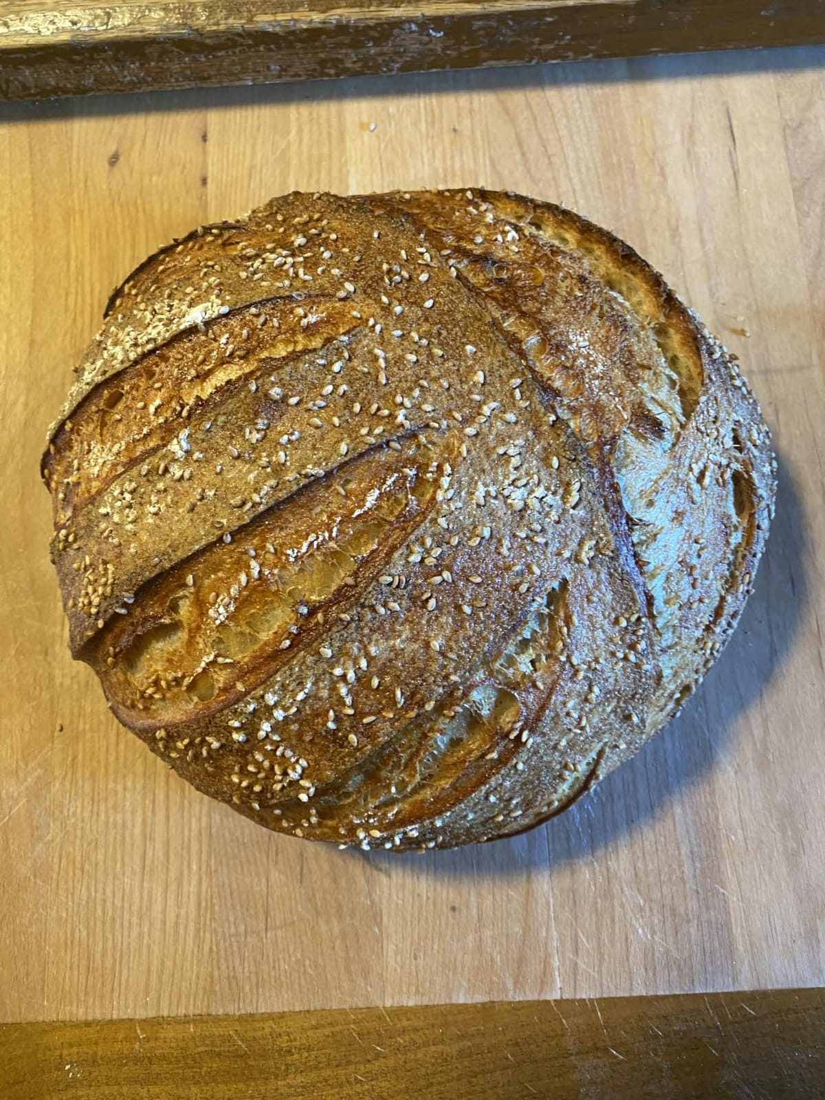 Brod & Taylor Ultralight Baking Shell for Sourdough Bread (Boule) - No Preheating Needed for Crispy Crust and Even Baking customer photo 1