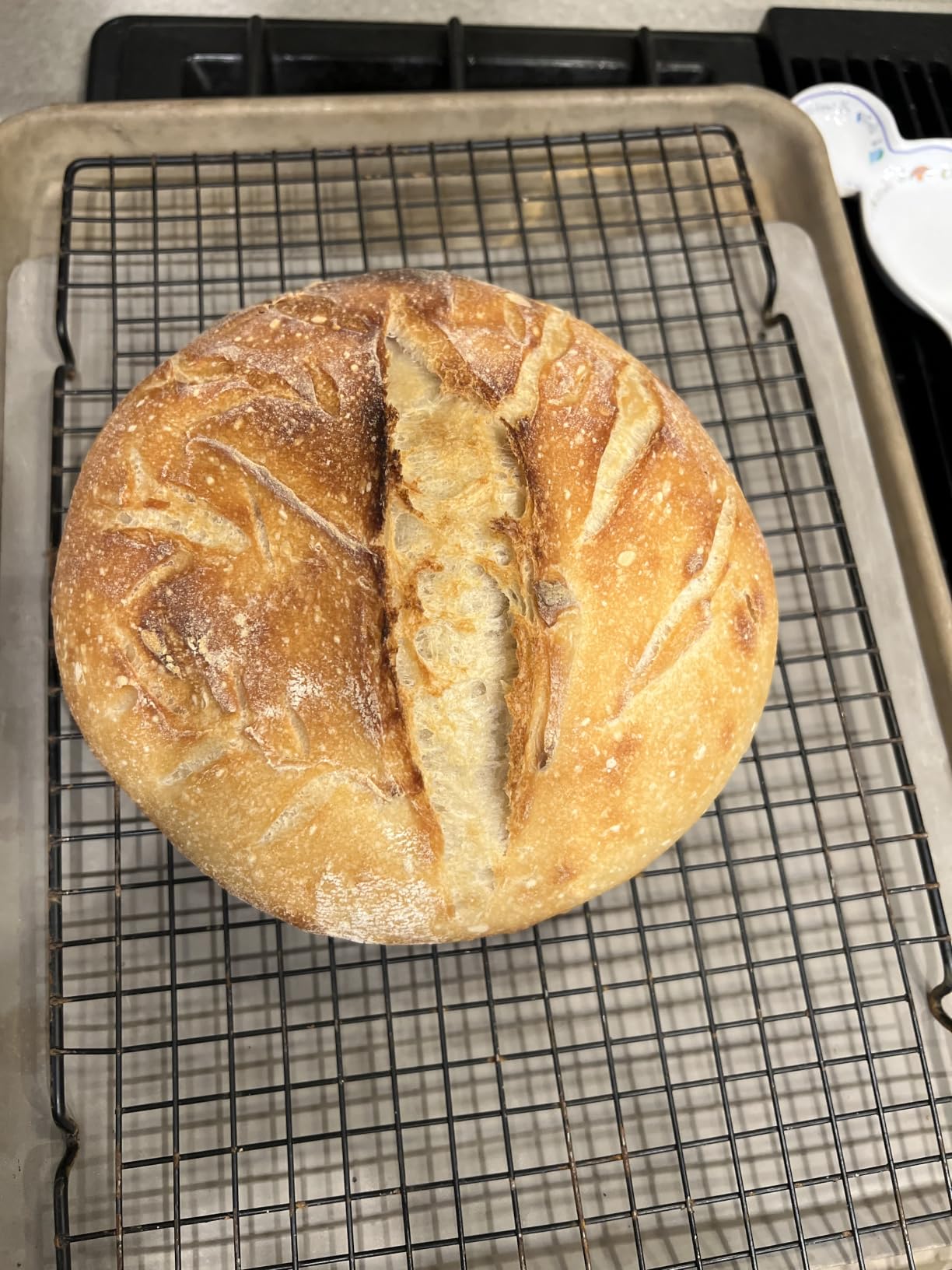 Superbaking Sourdough Starter Kit, 9