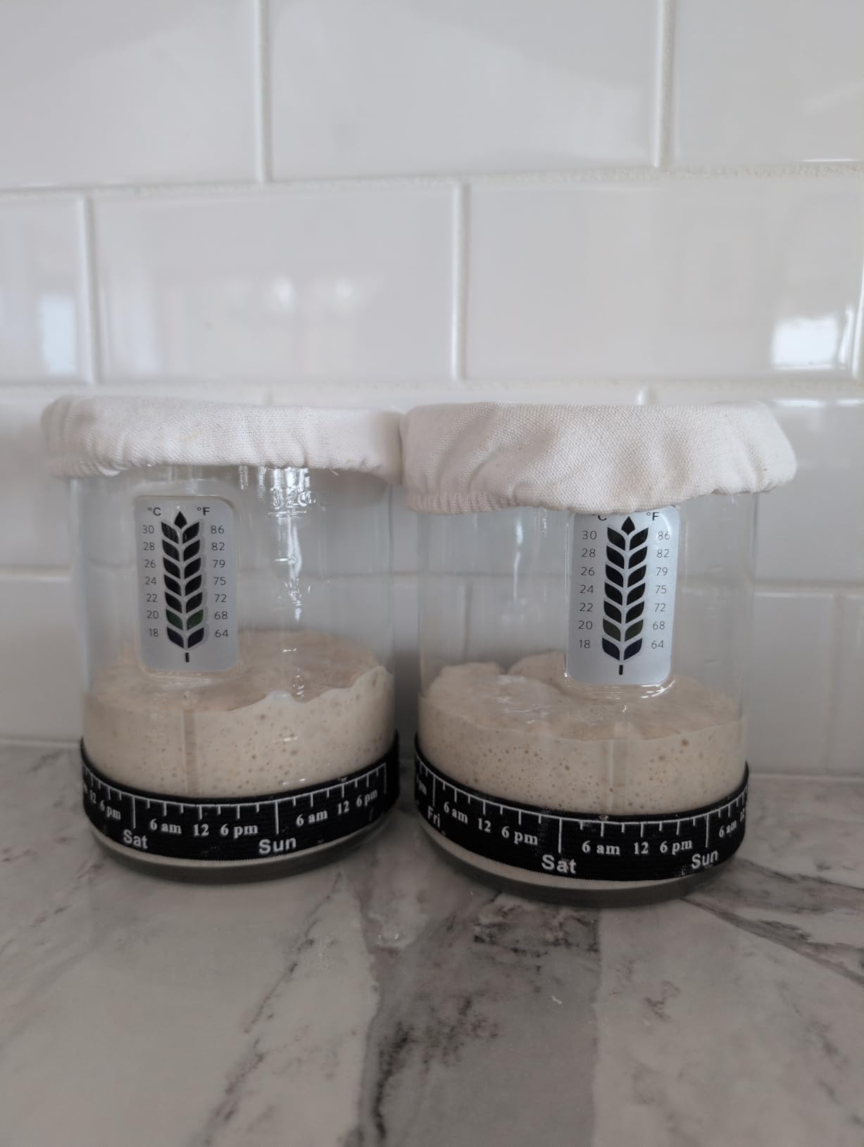 2 Pack Premium Pro Sourdough Starter Jar Kit - 40oz Large Wide Mouth Sourdough Bread Jar with Marked Feeding Band, Thermometer, Scraper, Cloth Cover & Silicone Lid/Base, Glass Container, Baking Supply customer photo 1