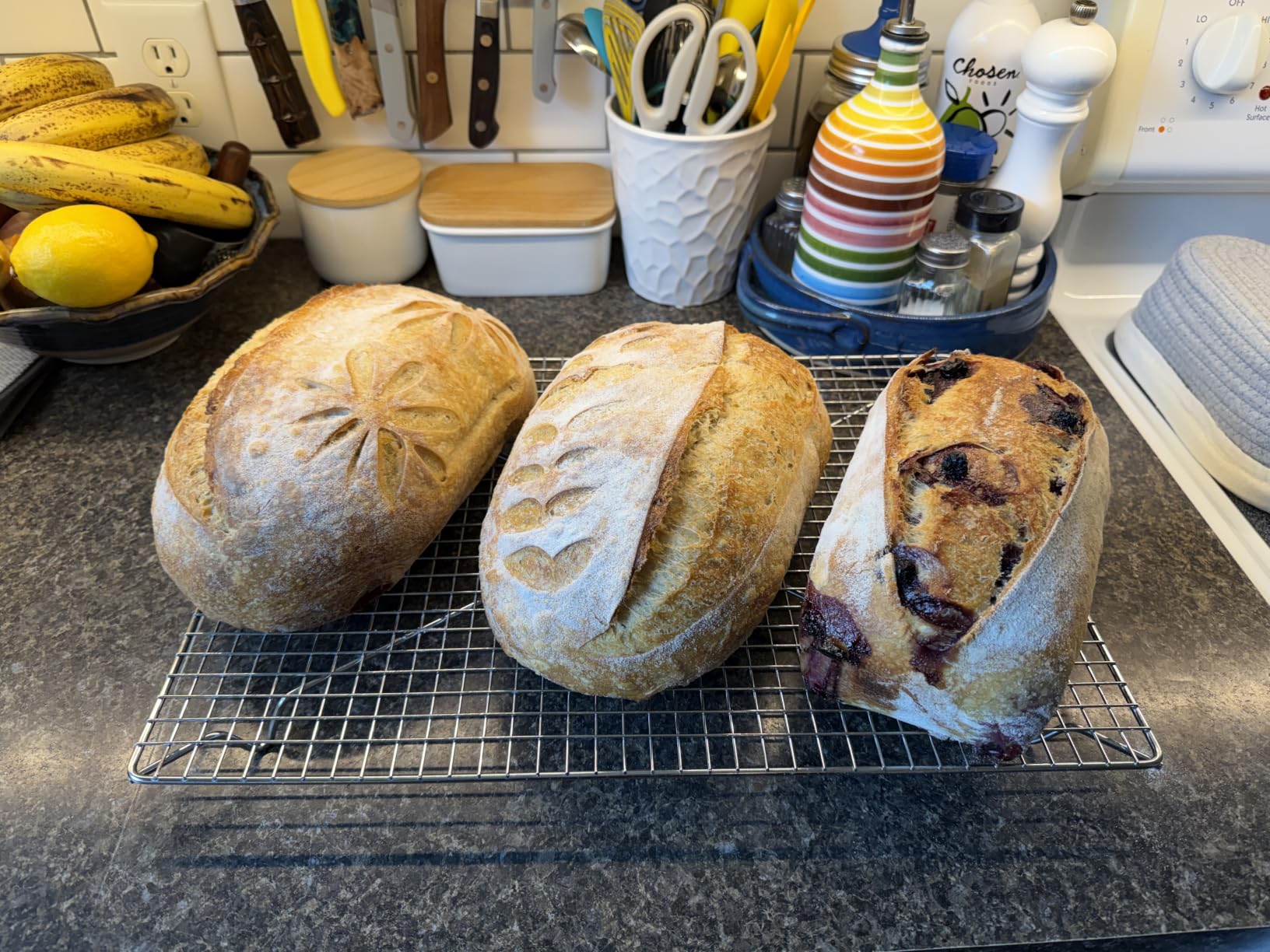Brod & Taylor Banneton Batard 10