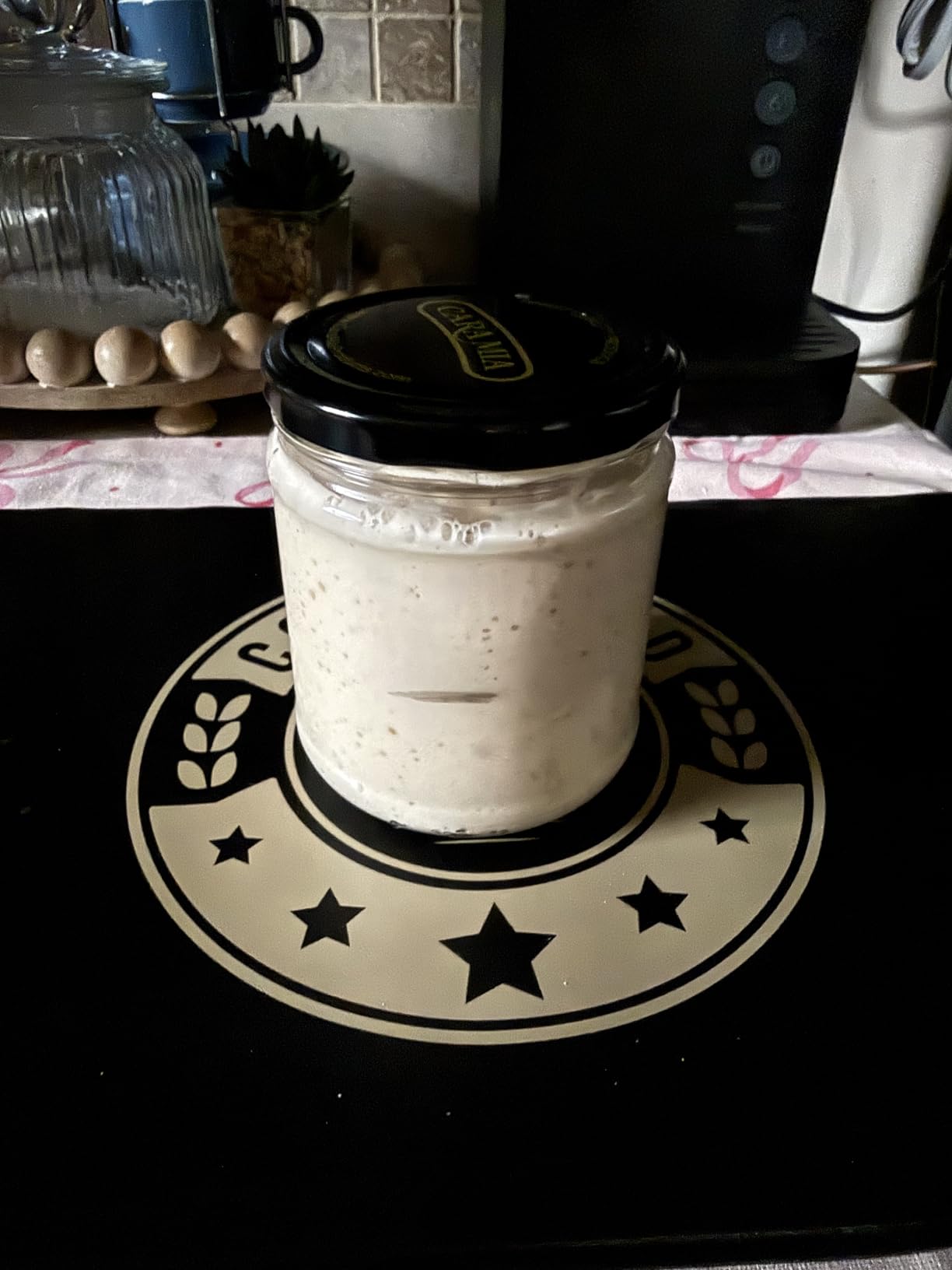 Cozy Bread Proofing Mat & Insulation Box | Thermostat Controlled Sourdough Bread Proofer Kit customer photo 1