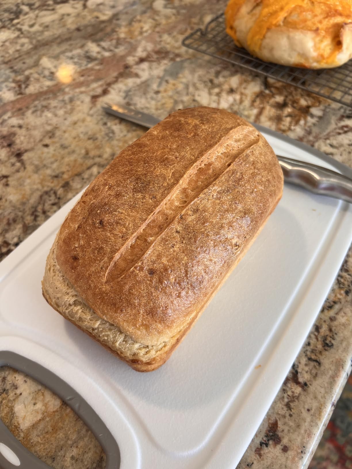 Cozy Bread Proofing Mat & Insulation Box | Thermostat Controlled Sourdough Bread Proofer Kit customer photo 2