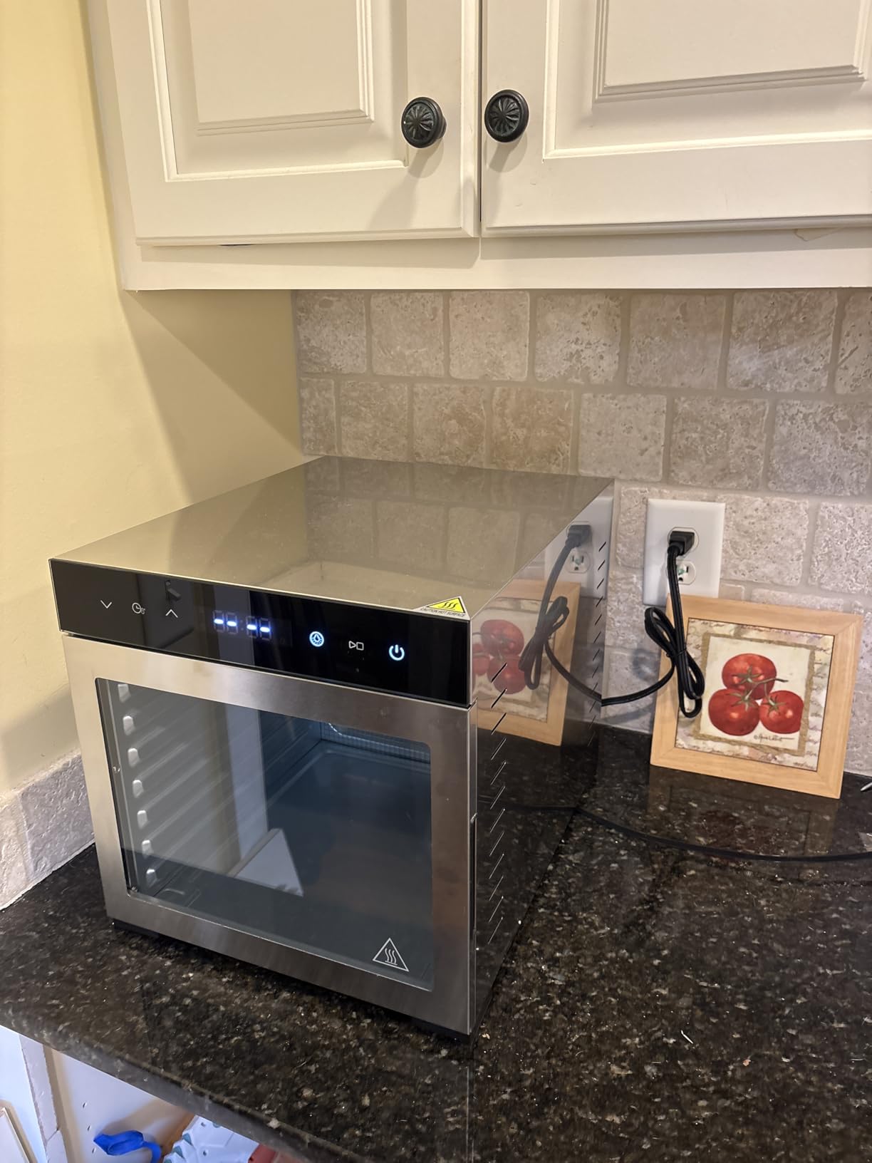 OLIXIS Food Dehydrator Machine, 500W Jerky Dehydrators with 8 Stainless Steel Large Trays, 185°F Temperature Control & 24H Timer Food Dryer for Fruit Meat Herb Dog Treats, Silver customer photo 1