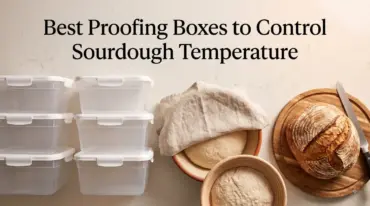 Best Proofing Boxes to Control Sourdough Temperature